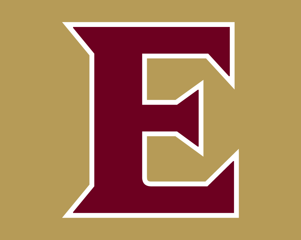 Elon Phoenix 2016-Pres Alternate Logo 02 iron on paper